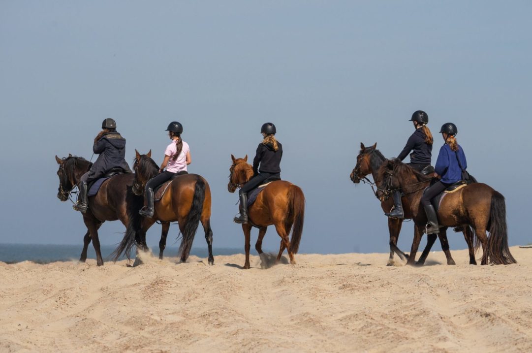 Horseback Riding Essaouira Morocco